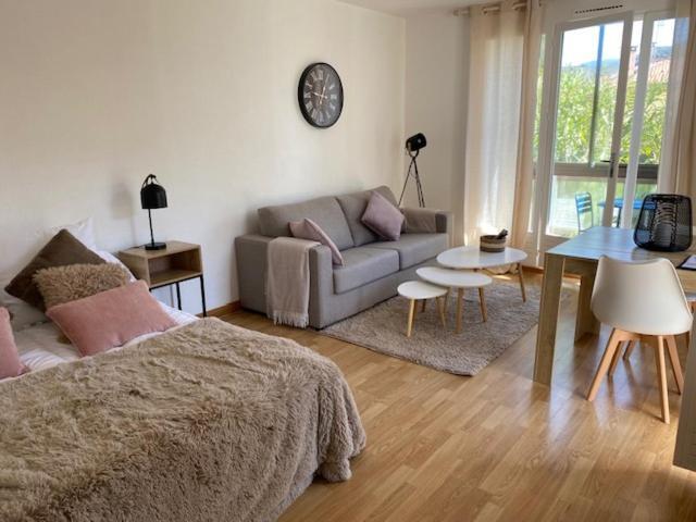 Studio 33 M2 , Climatise, Parking Exterieur Prive Gratuit Amelie-les-Bains-Palalda Exterior photo